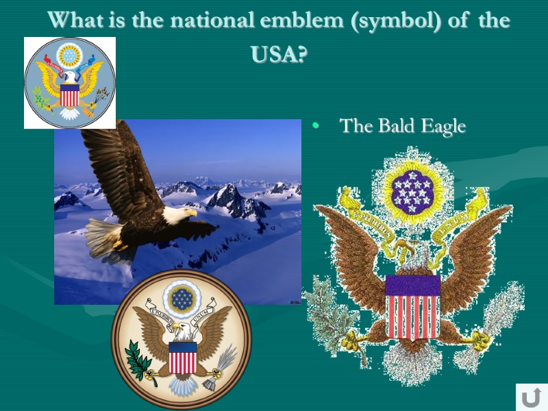 What is the national emblem (symbol) of the USA?  The Bald Eagle